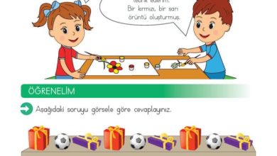 2. Sınıf Matematik Meb Yayınları Sayfa 156 Cevapları