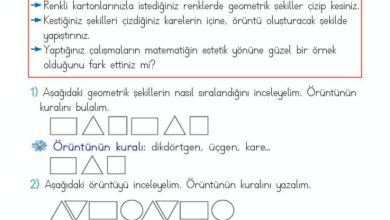 2. Sınıf Matematik Meb Yayınları Sayfa 157 Cevapları