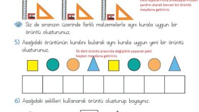 2. Sınıf Matematik Meb Yayınları Sayfa 159 Cevapları