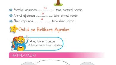 2. Sınıf Matematik Meb Yayınları Sayfa 16 Cevapları