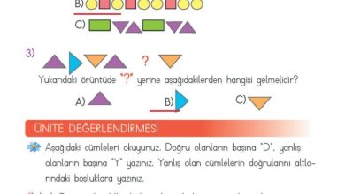 2. Sınıf Matematik Meb Yayınları Sayfa 160 Cevapları