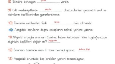 2. Sınıf Matematik Meb Yayınları Sayfa 161 Cevapları