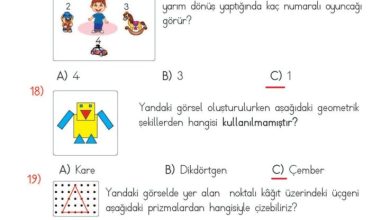 2. Sınıf Matematik Meb Yayınları Sayfa 162 Cevapları