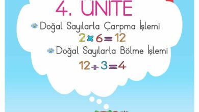 2. Sınıf Matematik Meb Yayınları Sayfa 163 Cevapları