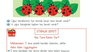 2. Sınıf Matematik Meb Yayınları Sayfa 164 Cevapları