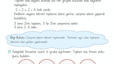 2. Sınıf Matematik Meb Yayınları Sayfa 165 Cevapları