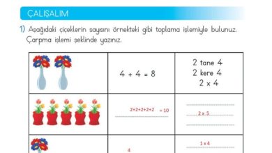 2. Sınıf Matematik Meb Yayınları Sayfa 166 Cevapları