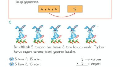 2. Sınıf Matematik Meb Yayınları Sayfa 168 Cevapları