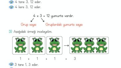 2. Sınıf Matematik Meb Yayınları Sayfa 169 Cevapları