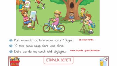 2. Sınıf Matematik Meb Yayınları Sayfa 17 Cevapları