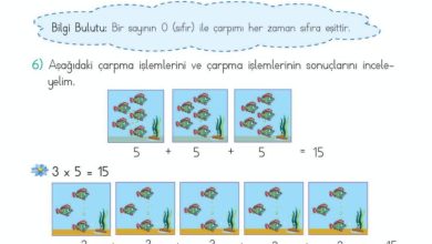 2. Sınıf Matematik Meb Yayınları Sayfa 170 Cevapları