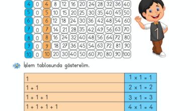 2. Sınıf Matematik Meb Yayınları Sayfa 171 Cevapları