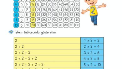 2. Sınıf Matematik Meb Yayınları Sayfa 172 Cevapları