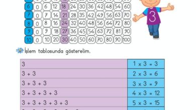 2. Sınıf Matematik Meb Yayınları Sayfa 173 Cevapları