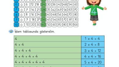 2. Sınıf Matematik Meb Yayınları Sayfa 174 Cevapları