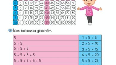 2. Sınıf Matematik Meb Yayınları Sayfa 175 Cevapları