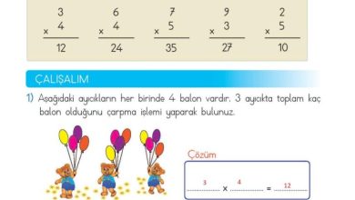 2. Sınıf Matematik Meb Yayınları Sayfa 176 Cevapları