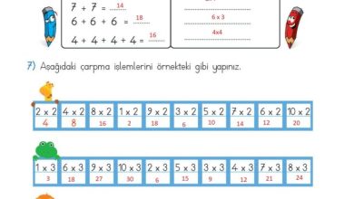 2. Sınıf Matematik Meb Yayınları Sayfa 178 Cevapları