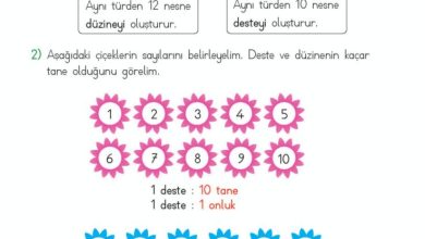 2. Sınıf Matematik Meb Yayınları Sayfa 18 Cevapları