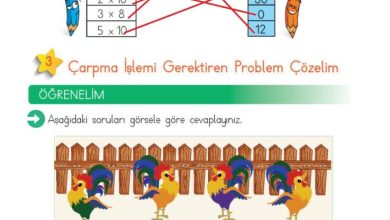 2. Sınıf Matematik Meb Yayınları Sayfa 180 Cevapları