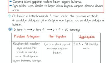 2. Sınıf Matematik Meb Yayınları Sayfa 181 Cevapları