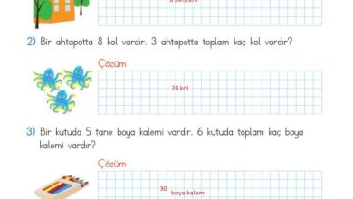 2. Sınıf Matematik Meb Yayınları Sayfa 182 Cevapları