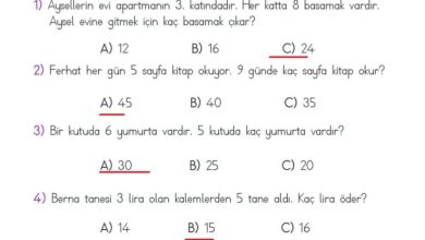 2. Sınıf Matematik Meb Yayınları Sayfa 183 Cevapları