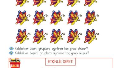 2. Sınıf Matematik Meb Yayınları Sayfa 185 Cevapları