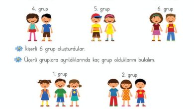 2. Sınıf Matematik Meb Yayınları Sayfa 187 Cevapları