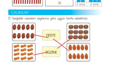 2. Sınıf Matematik Meb Yayınları Sayfa 19 Cevapları