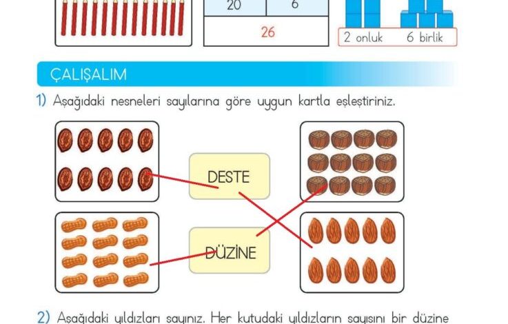 2. Sınıf Matematik Meb Yayınları Sayfa 19 Cevapları