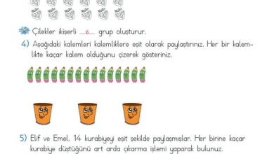 2. Sınıf Matematik Meb Yayınları Sayfa 190 Cevapları