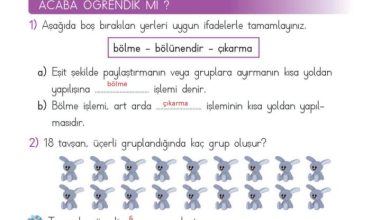 2. Sınıf Matematik Meb Yayınları Sayfa 191 Cevapları