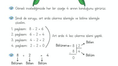 2. Sınıf Matematik Meb Yayınları Sayfa 193 Cevapları