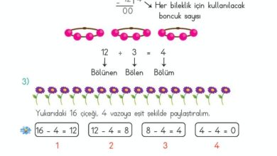 2. Sınıf Matematik Meb Yayınları Sayfa 194 Cevapları