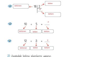 2. Sınıf Matematik Meb Yayınları Sayfa 195 Cevapları