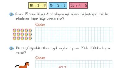 2. Sınıf Matematik Meb Yayınları Sayfa 196 Cevapları