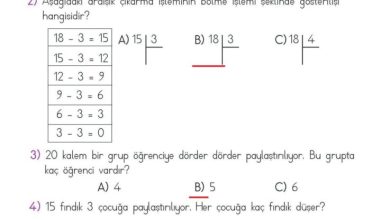 2. Sınıf Matematik Meb Yayınları Sayfa 197 Cevapları