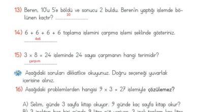 2. Sınıf Matematik Meb Yayınları Sayfa 199 Cevapları