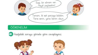 2. Sınıf Matematik Meb Yayınları Sayfa 202 Cevapları