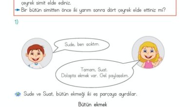 2. Sınıf Matematik Meb Yayınları Sayfa 203 Cevapları