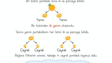 2. Sınıf Matematik Meb Yayınları Sayfa 204 Cevapları