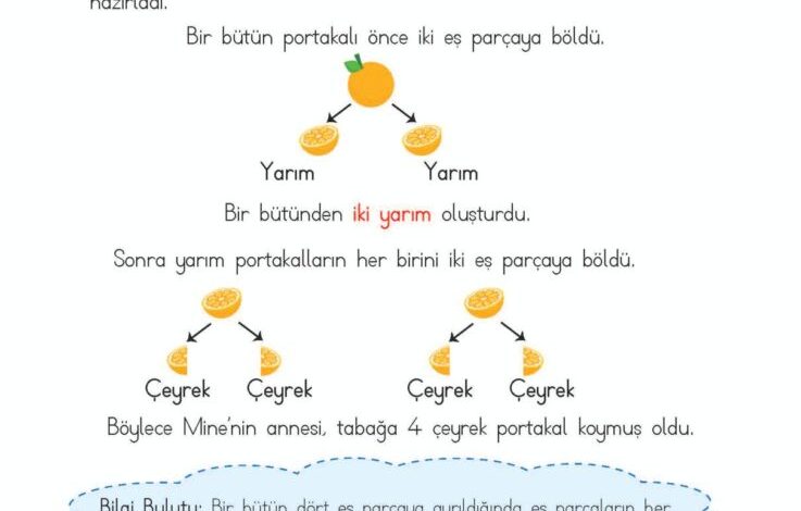 2. Sınıf Matematik Meb Yayınları Sayfa 204 Cevapları