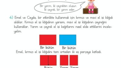 2. Sınıf Matematik Meb Yayınları Sayfa 205 Cevapları