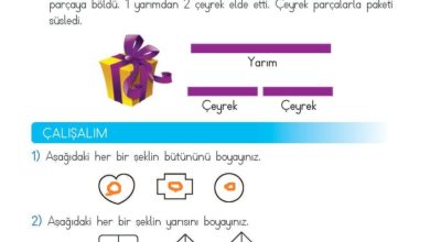 2. Sınıf Matematik Meb Yayınları Sayfa 206 Cevapları