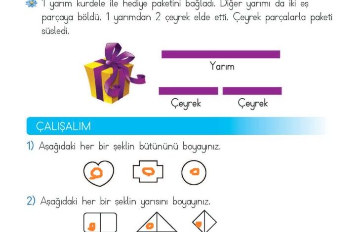 2. Sınıf Matematik Meb Yayınları Sayfa 206 Cevapları