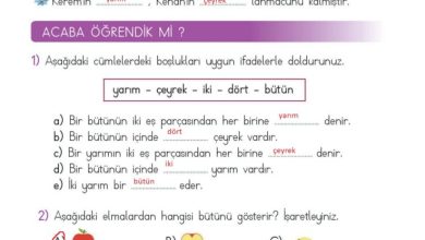 2. Sınıf Matematik Meb Yayınları Sayfa 207 Cevapları