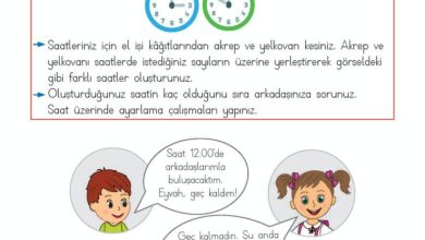 2. Sınıf Matematik Meb Yayınları Sayfa 209 Cevapları