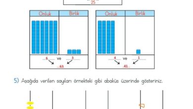 2. Sınıf Matematik Meb Yayınları Sayfa 21 Cevapları