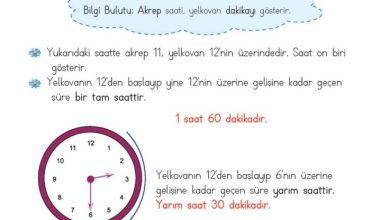 2. Sınıf Matematik Meb Yayınları Sayfa 210 Cevapları